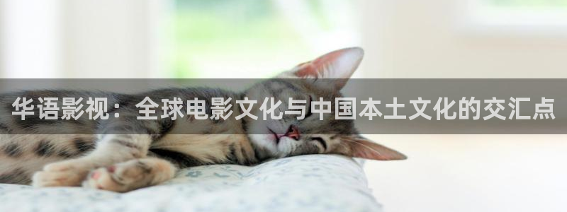 青柠影院在线观看电视剧高清：华语影视：全球电影文化与中国本土文化的交汇点