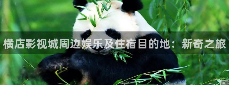 青柠影院免费观看电视剧：横店影视城周边娱乐及住宿目的地：新奇之旅