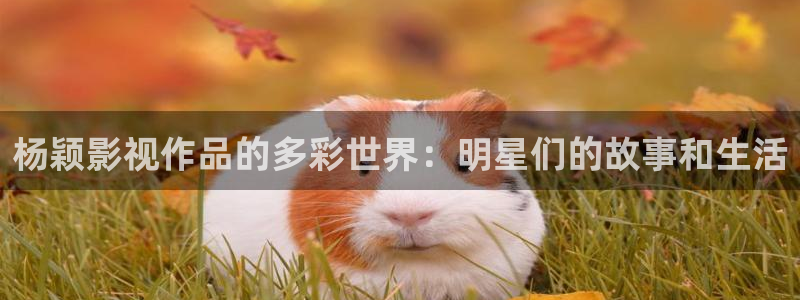 青柠影院莆田：杨颖影视作品的多彩世界：明星们的故事和生活