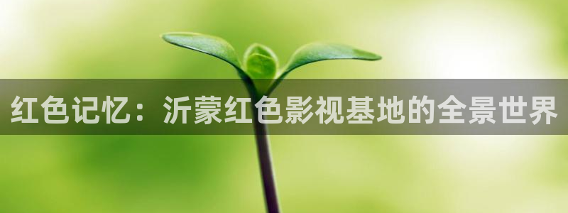 青柠影院电视剧免费观看：红色记忆：沂蒙红色影视基地的全景世界