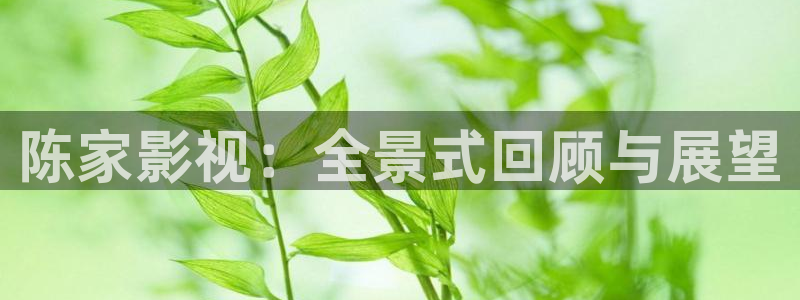 青柠影院免费观看高清hd：陈家影视：全景式回顾与展望