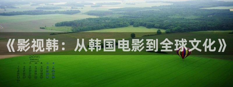青柠影片：《影视韩：从韩国电影到全球文化》