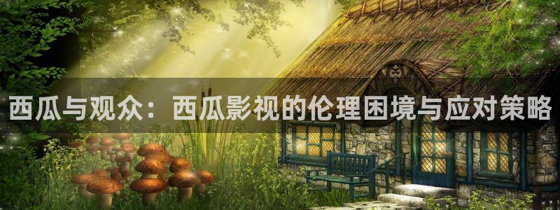 青柠在线播放：西瓜与观众：西瓜影视的伦理困境与应对策略