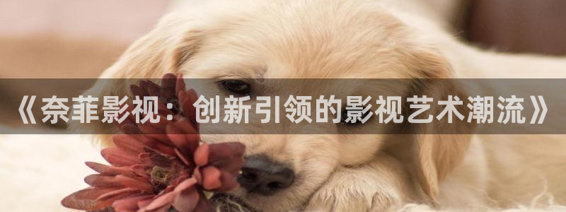 青柠影院电视剧免费观看完整版：《奈菲影视：创新引领的影视艺术潮流》