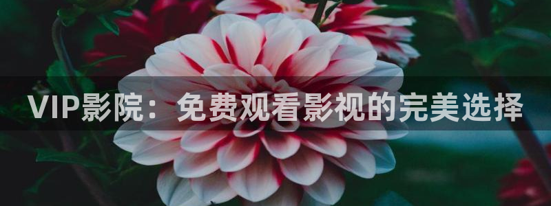 青柠电影在线看