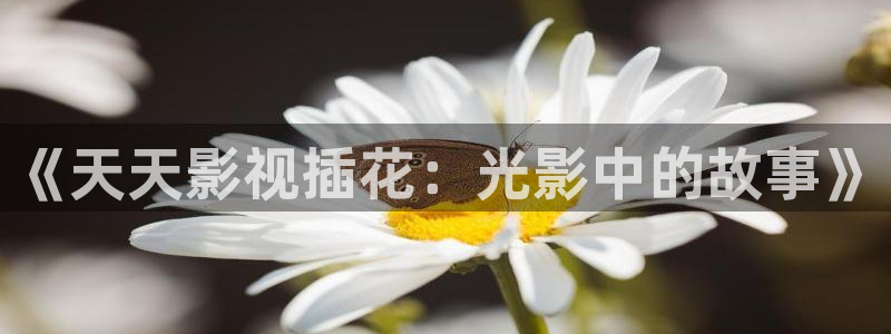 青柠在线电影免费观看：《天天影视插花：光影中的故事》